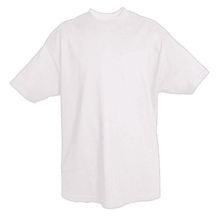 Plain White T-Shirt